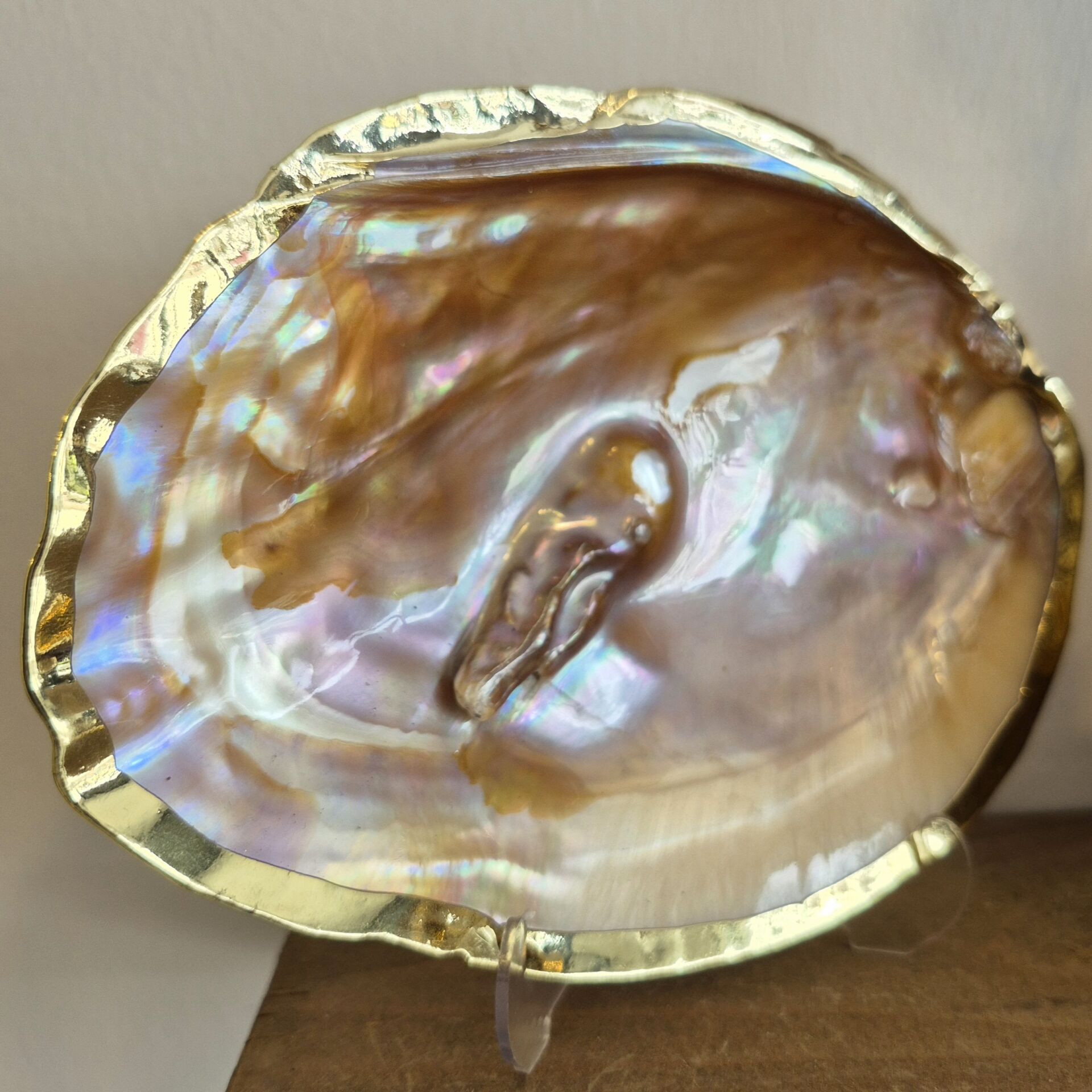 İncili İstridye Kabuğu