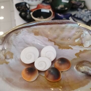 Yılancık Taşı Kütle