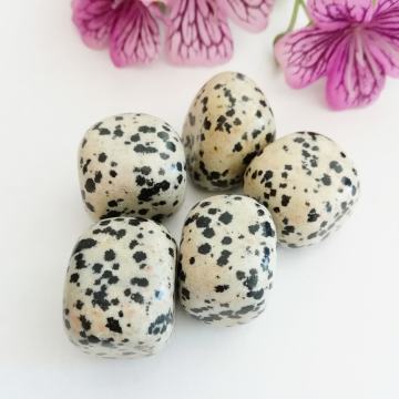 Dalmaçyalı Jasper Taşı Kütle